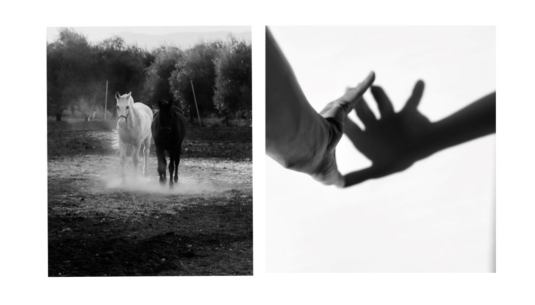 Fotografías Caballos y Mano de Esperanza Manzanera