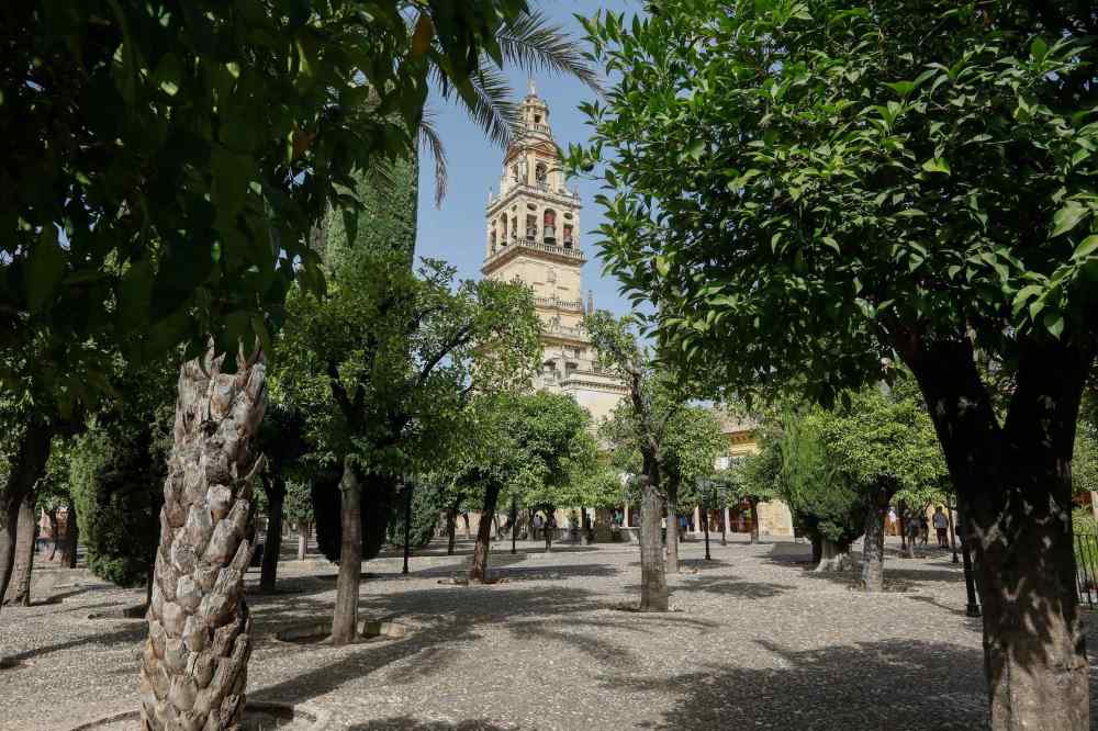 flora festival cordoba patio-naranjos-mezquita-catedral-F-patricia-cachinero