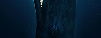 WhaleFall La Pelicula