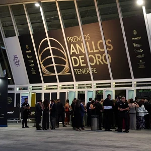 Premios Anillos de Oro. Series.