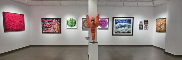 Juan de Miguel Tela de Arte Exposición