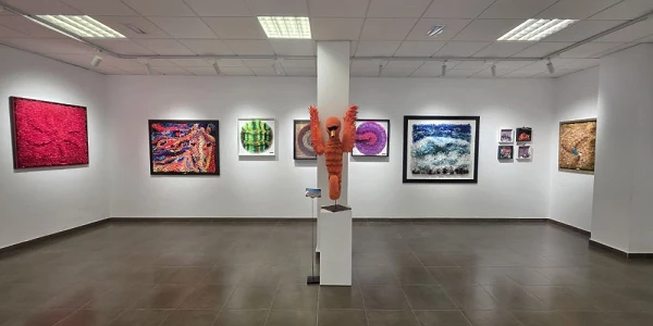 Juan de Miguel Tela de Arte Exposición